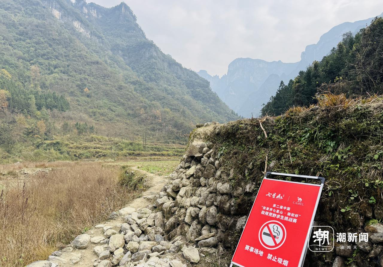 、流量与规则之间的“荒野求生”九游会j9ag一场摸索于山野(图3)