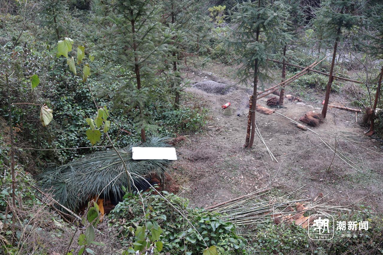 、流量与规则之间的“荒野求生”九游会j9ag一场摸索于山野(图14)