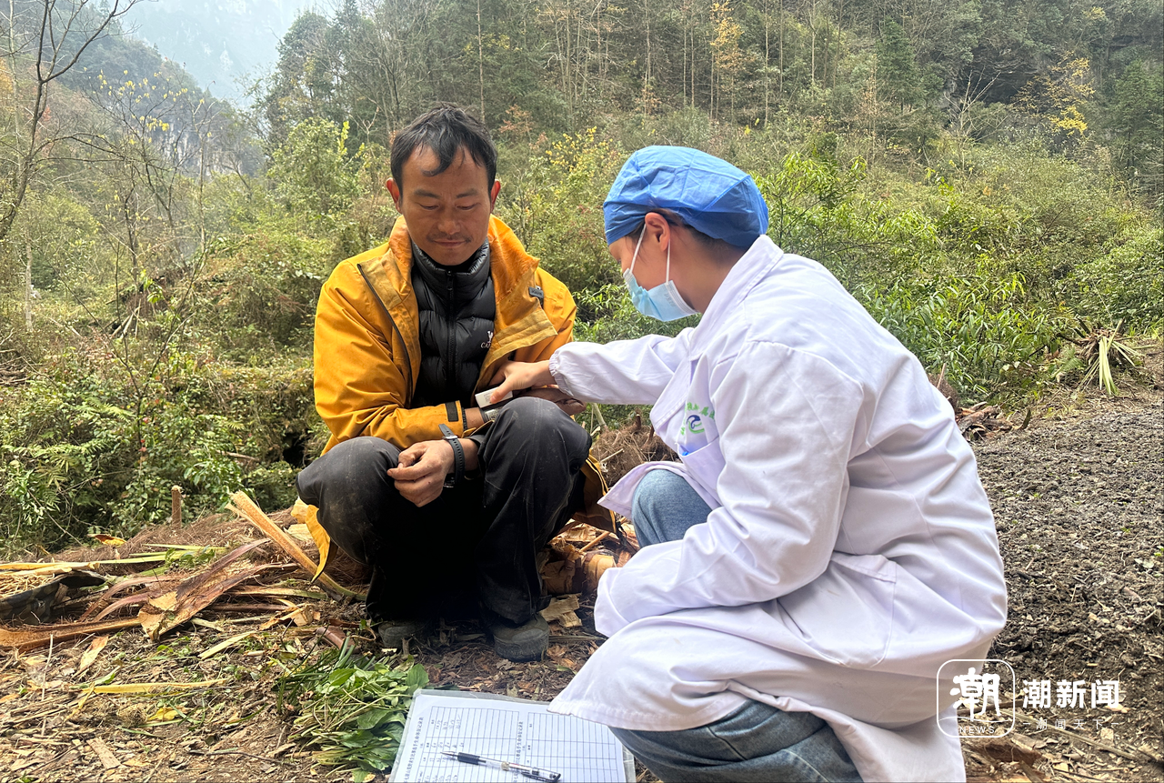 、流量与规则之间的“荒野求生”九游会j9ag一场摸索于山野(图5)