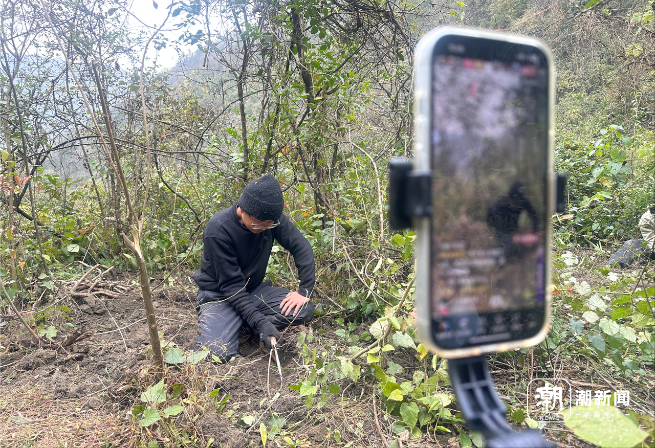 、流量与规则之间的“荒野求生”九游会j9ag一场摸索于山野(图8)